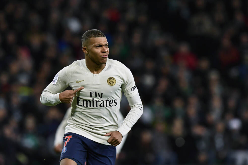 面对野生动物，不越界是尊重更是安全